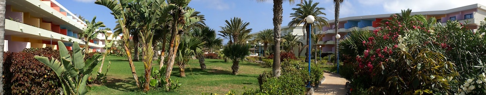 SBH Fuerteventura Playa 31/38