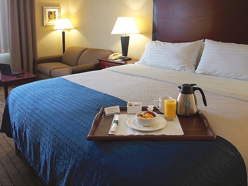 Holiday Inn Hotel And Suites Winnipeg Downtown 12/78