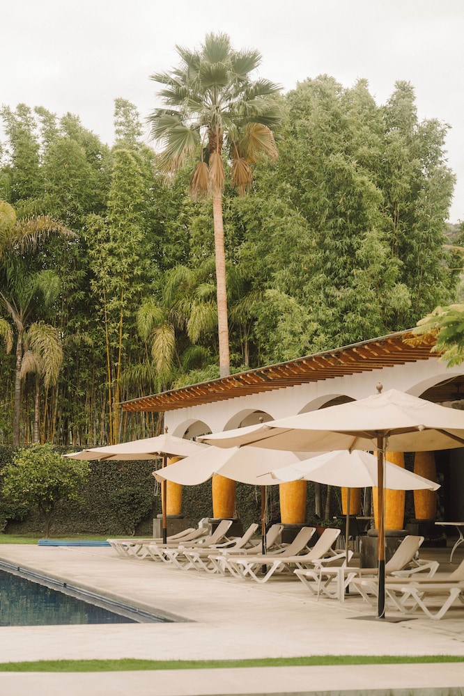 HOTEL HACIENDA LA VENTA 47/50