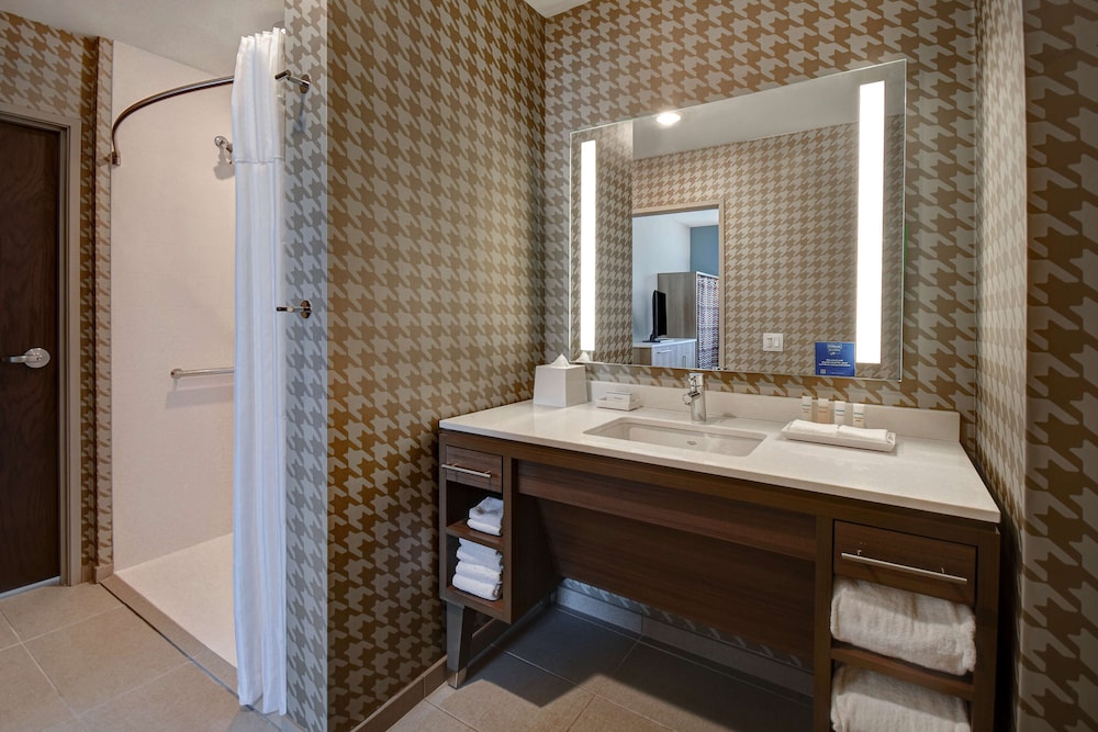 Home2 Suites by Hilton Kalamazoo Downtown 26/67