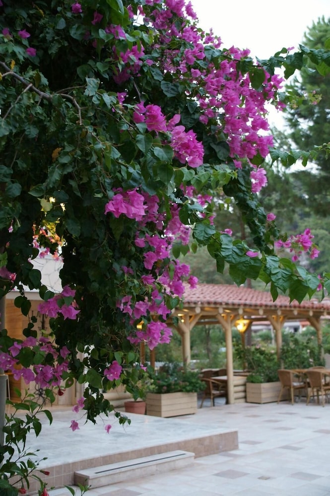 Petunya Konak Hotel 42/50