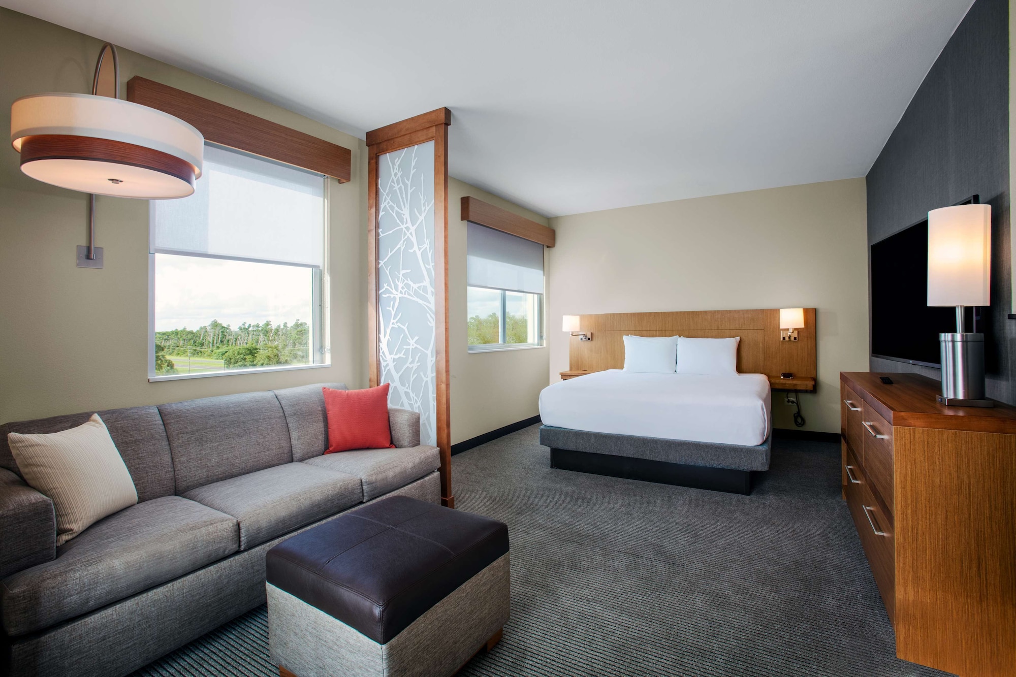 Room, King Bed, Sofa