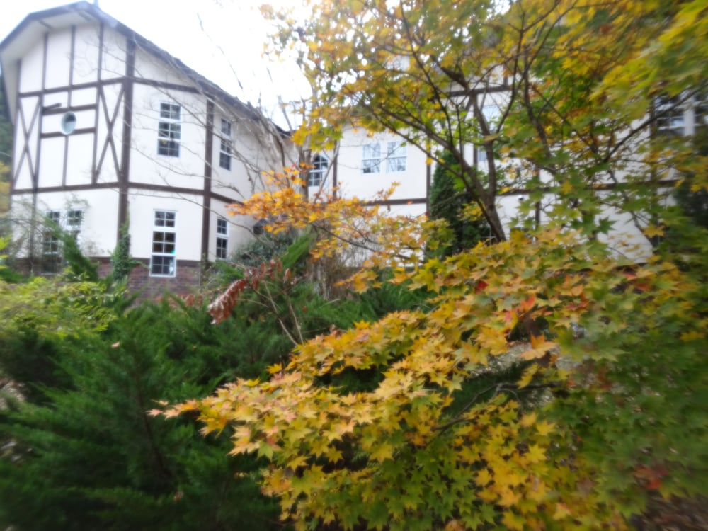 Gasthof Arutany 59/61
