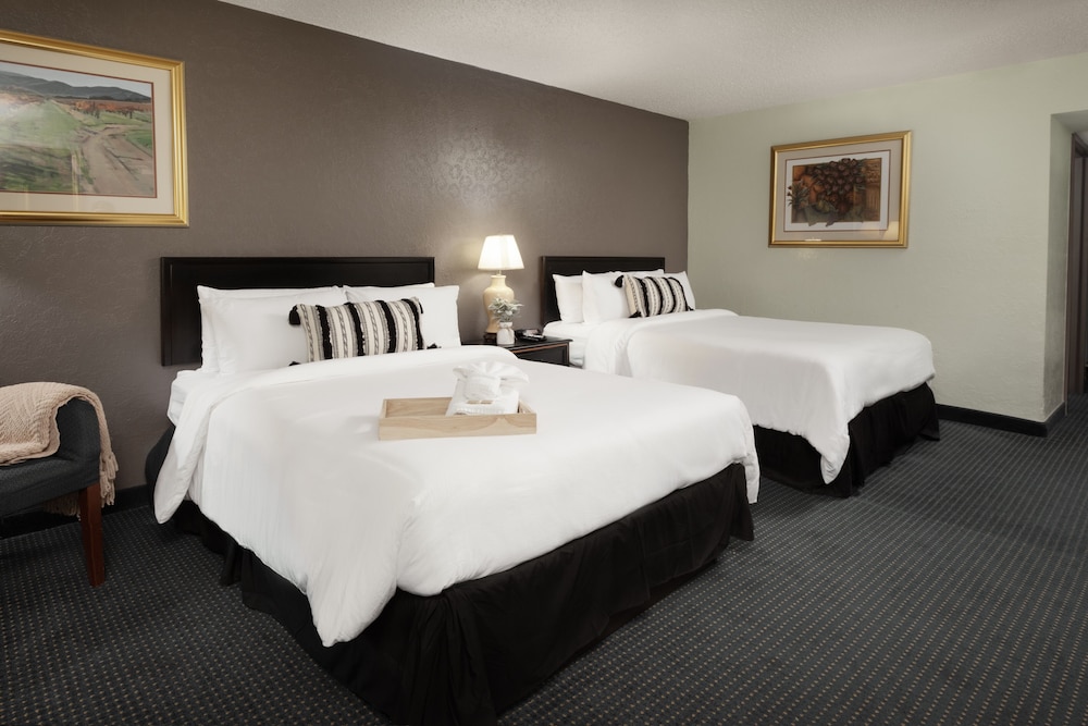 The Cactus Cove Inn And Suites 16/49