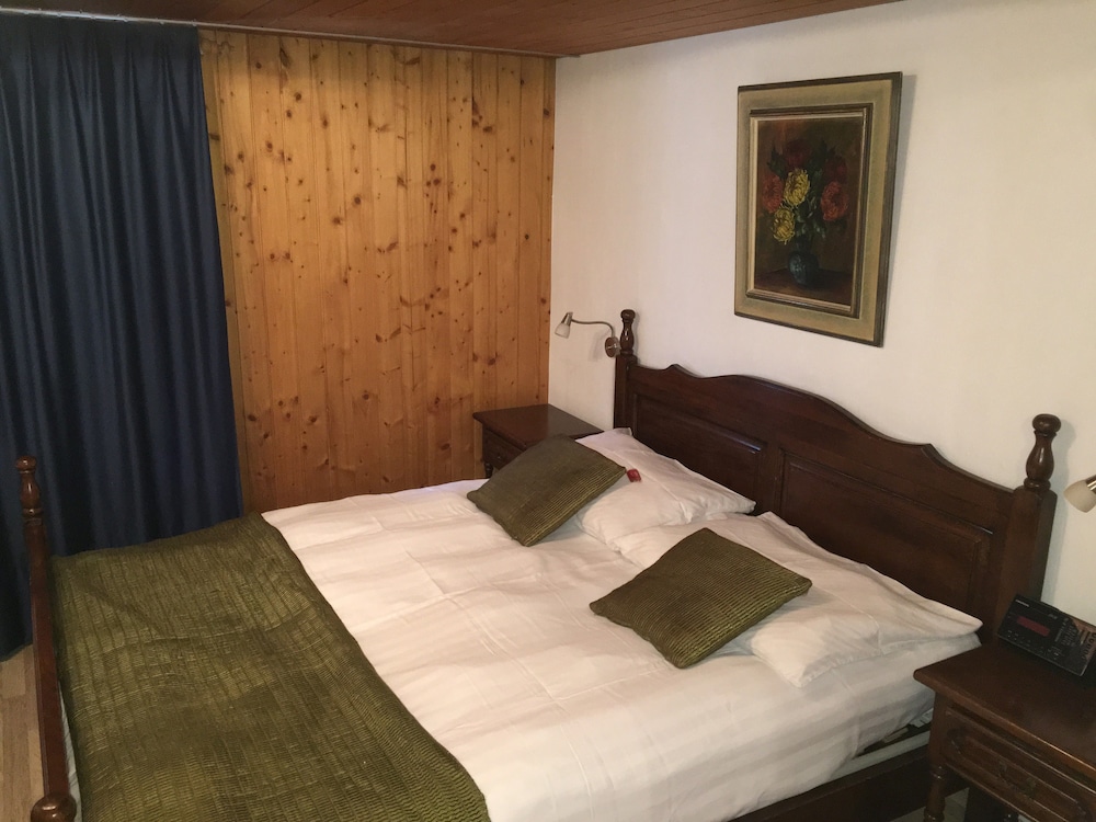 Historic Hotel Steinbock 31/50