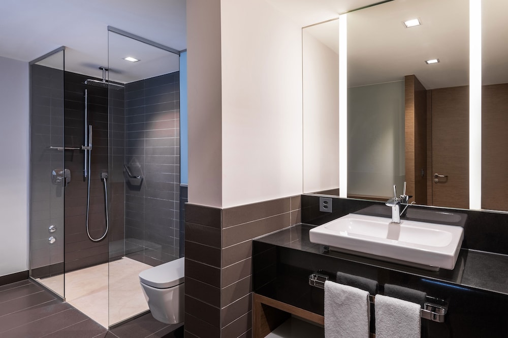 Sheraton Zurich Hotel 6/46