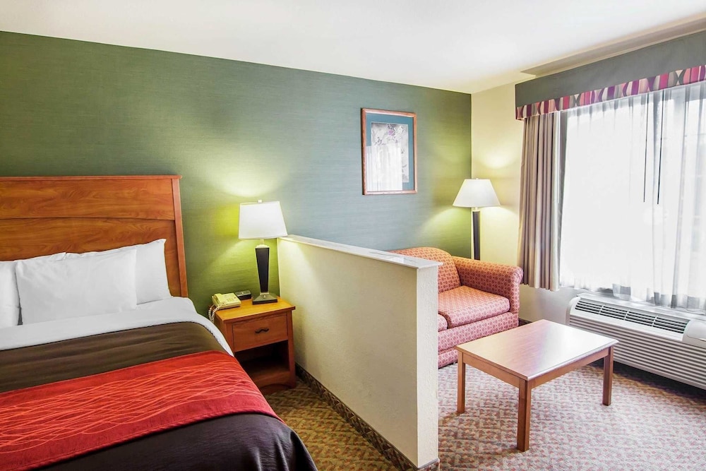 Comfort Inn & Suites Salem 22/31