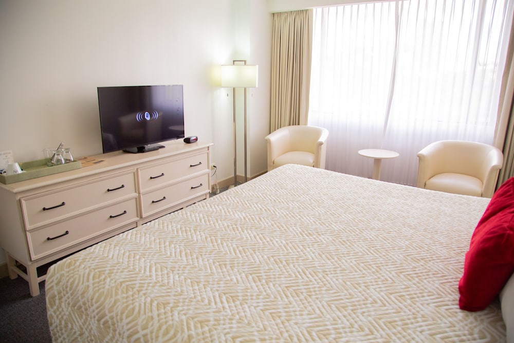 Clarion Amon Plaza 45/60