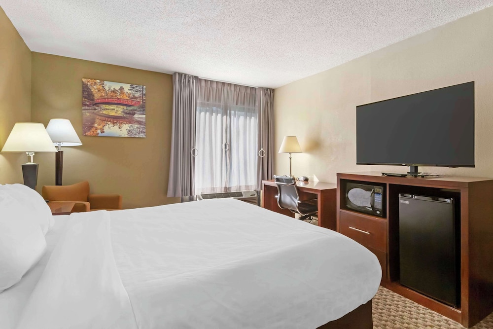 ROOM, KING BED, ACCESSIBLE