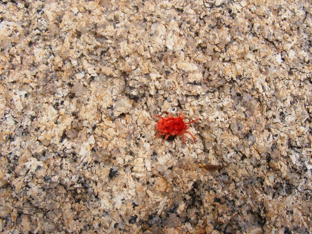 Kashana Namibia 28/54