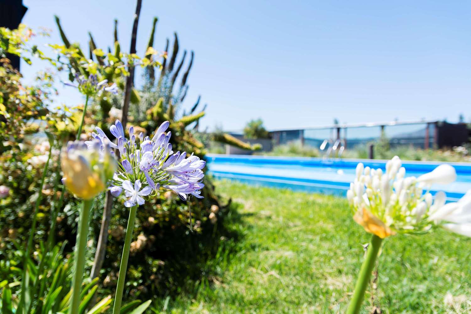 Park Inn By Radisson Los Olivos De Vallenar 33/37
