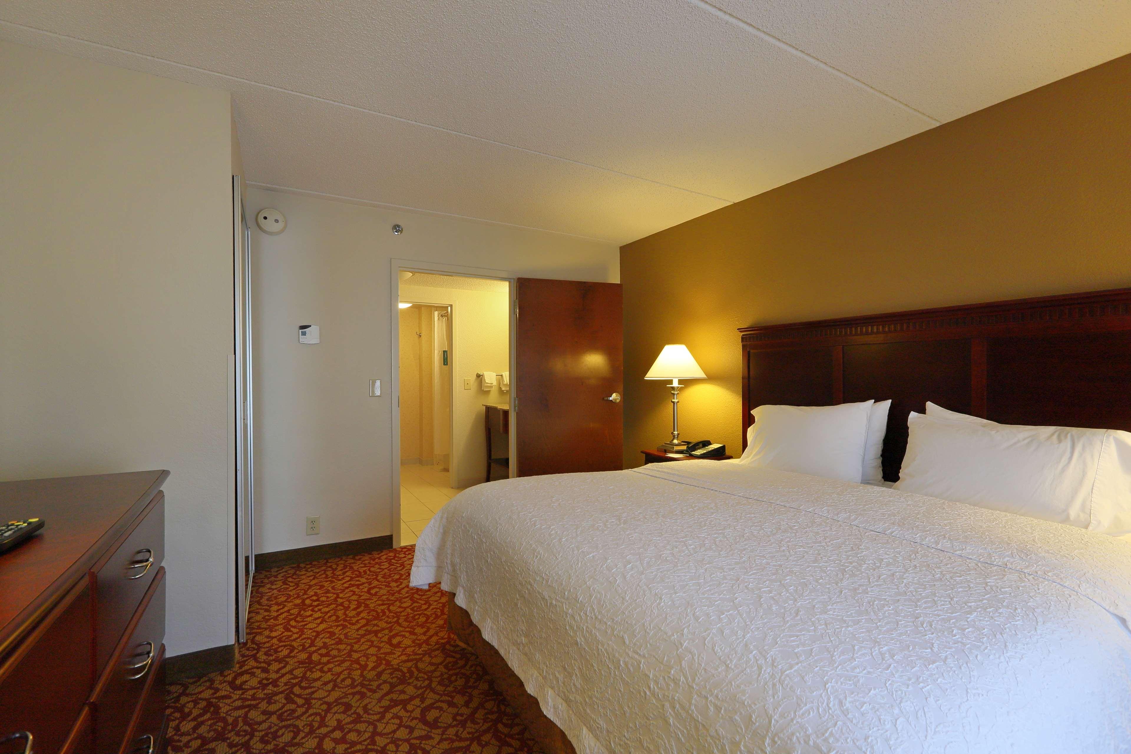 1 BEDROOM, SUITE, KING BED, SOFA, KITCHEN