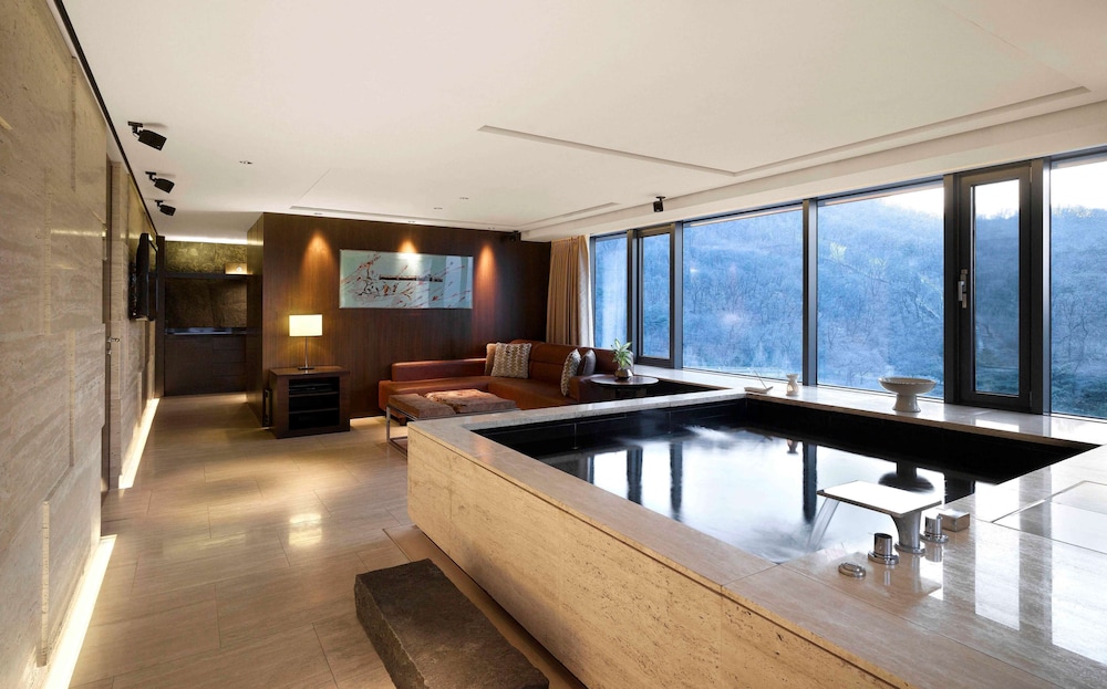 Banyan Tree Club and Spa Seoul 7/76