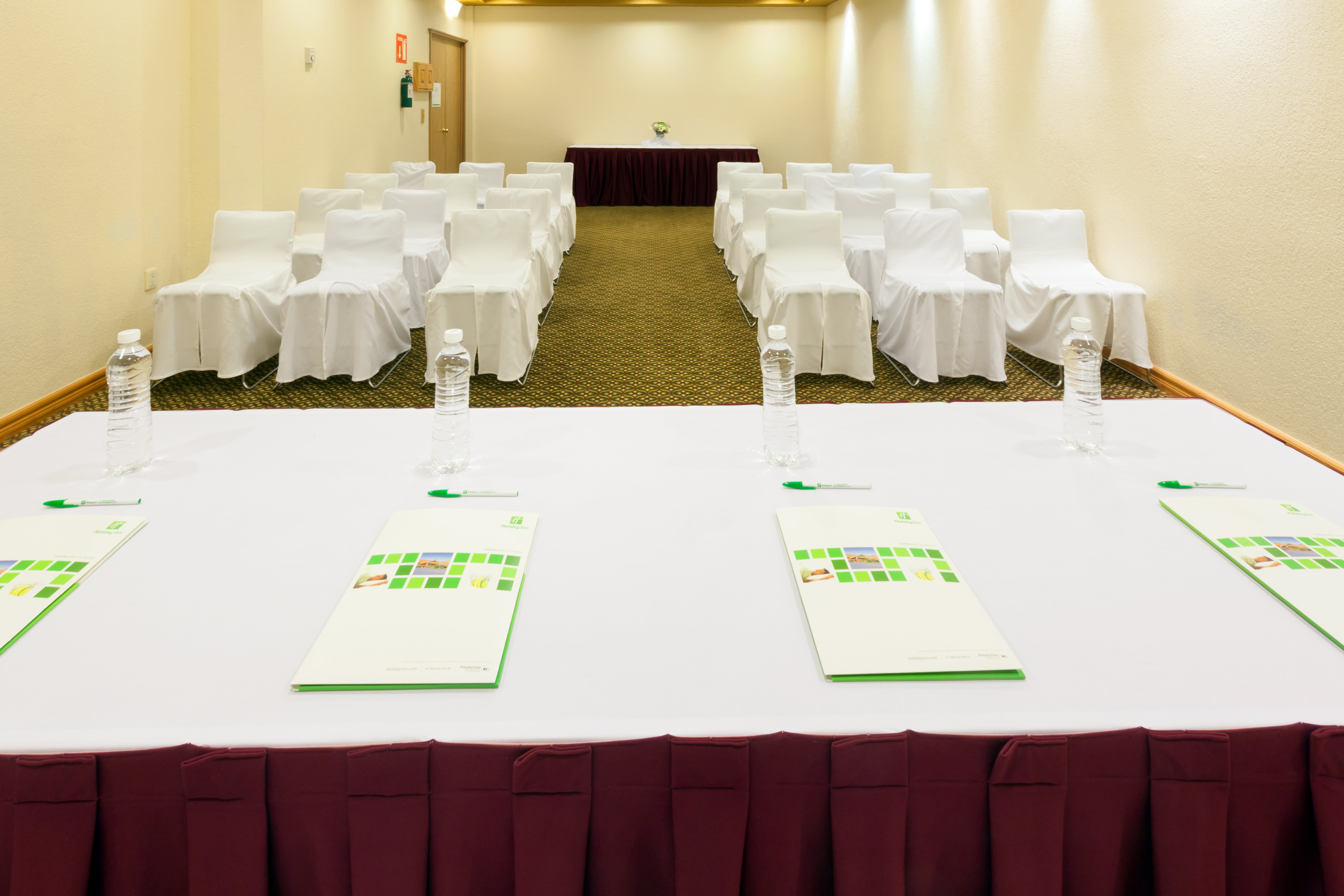 Holiday Inn La Piedad 45/55
