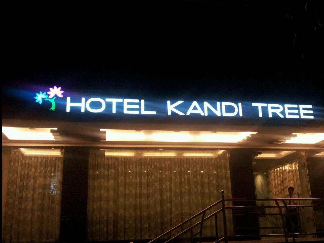 Kanditree 2/29