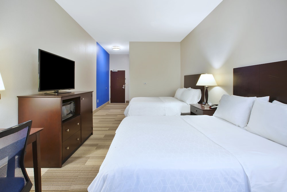 Holiday Inn Express Hotel Suites Niles 18/51