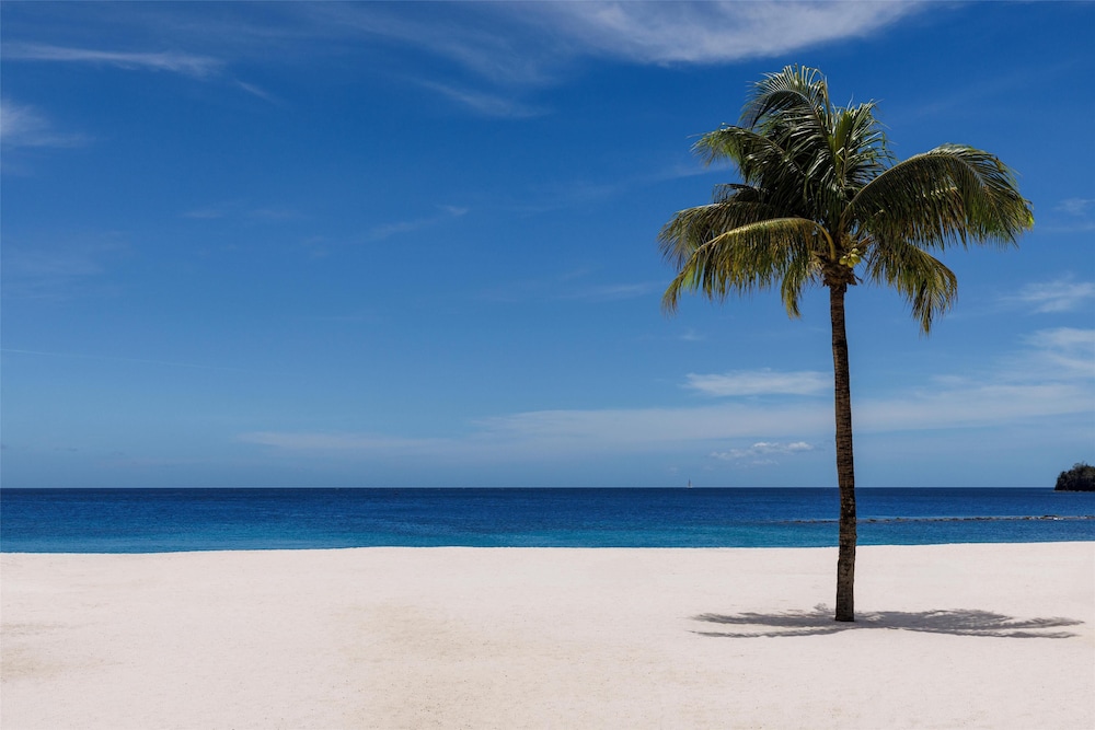 Sandals Saint Vincent and the Grenadines 60/65