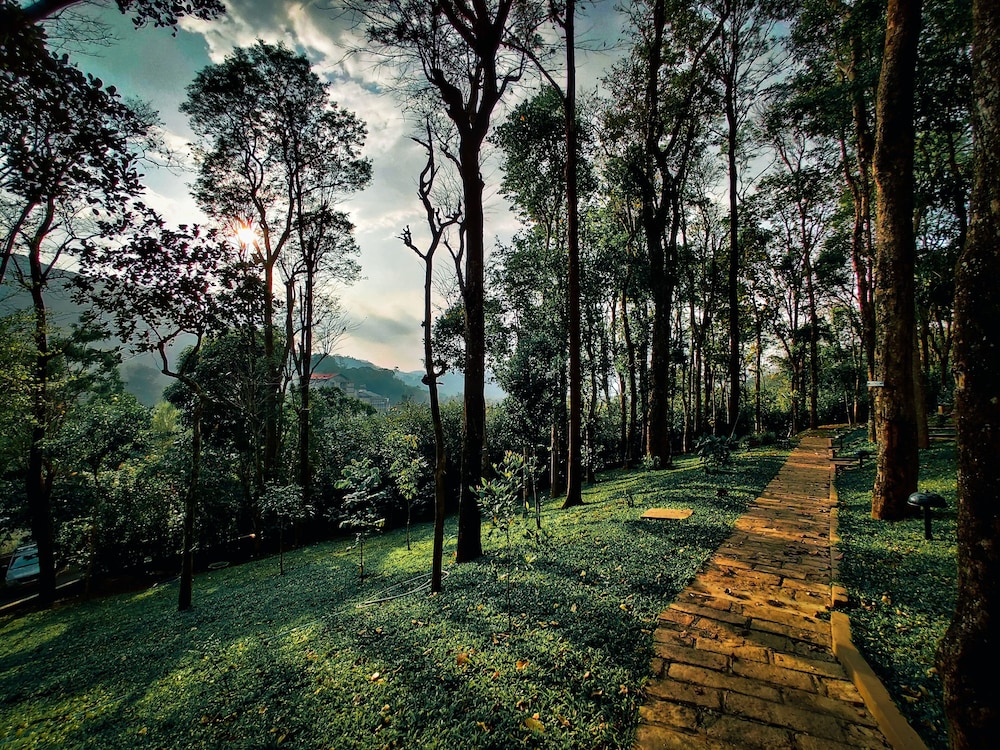 Green Woods Resort 67/70