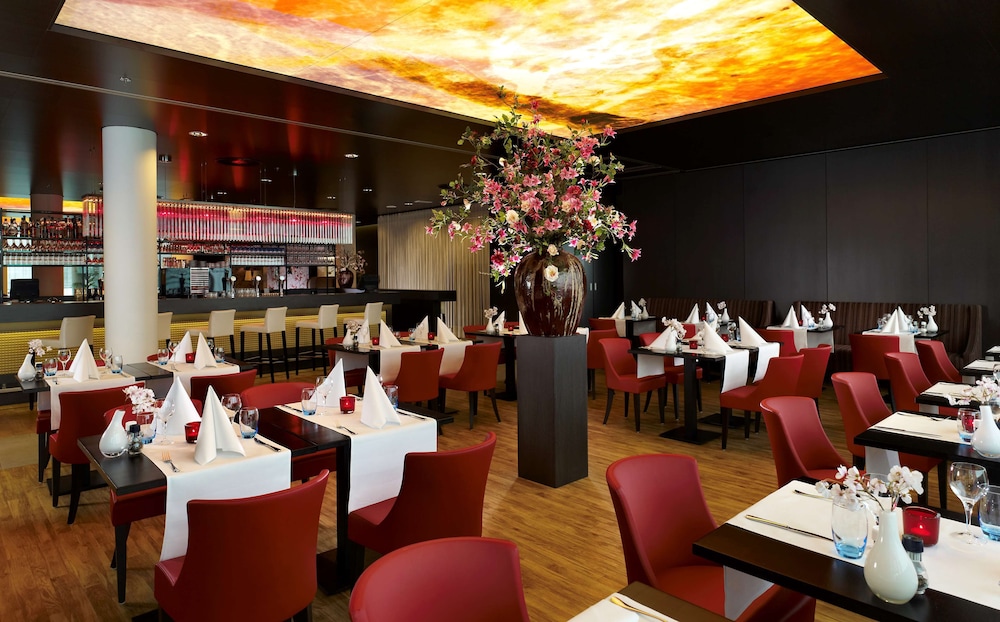 Park Plaza Amsterdam Airport 29/50