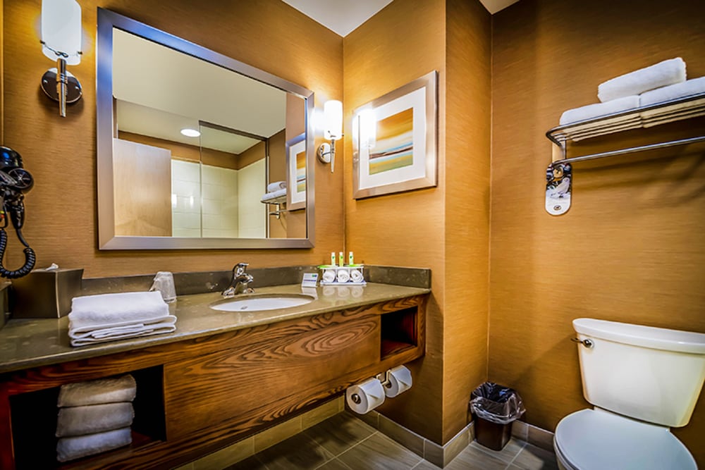 Holiday Inn Express & Suites Salt Lake City South - Murray 57/61