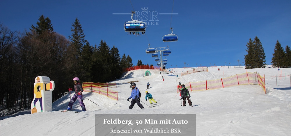 Hotel Waldblick 44/50
