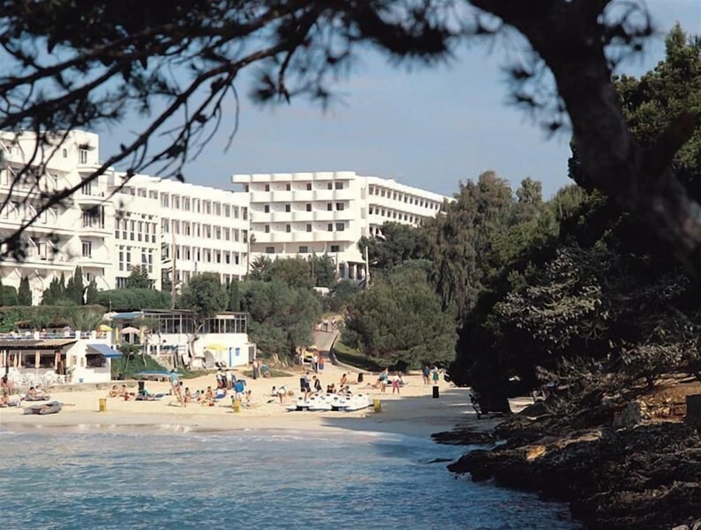 Sentido Fido Tucan - Adults Only 44/50