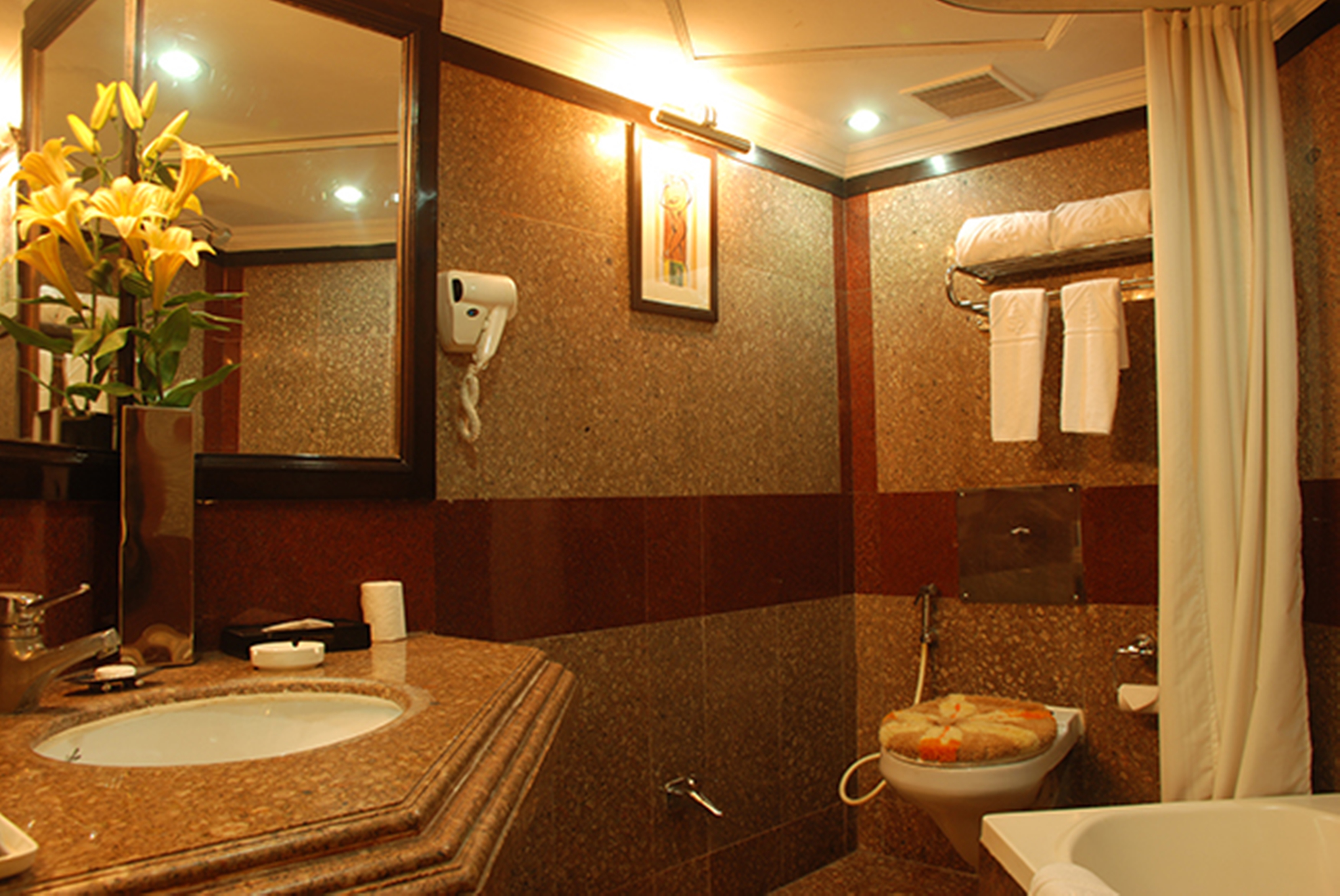 Deluxe, Double or Twin Bed