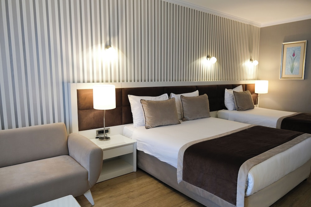 Room, Triple, 1 Double and 1 Single Bed, Murphy Bed، Byotell Hotel Istanbul 2/10