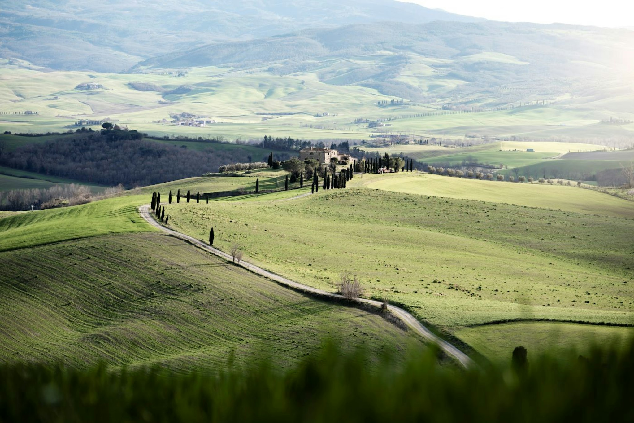 Adler Thermae Spa Resort Toscana 24/33