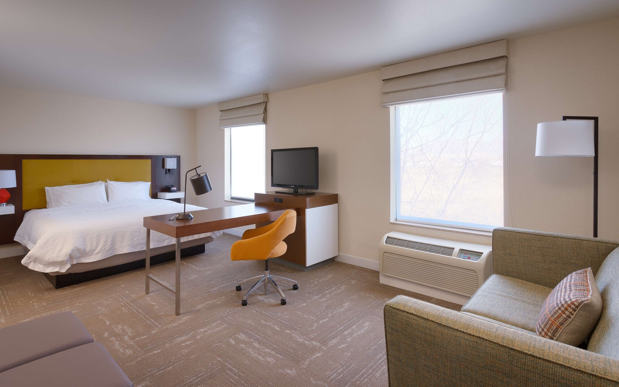 Deluxe, King Bed