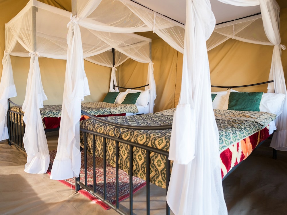SERENGETI WILDEBEEST CAMP 7/55