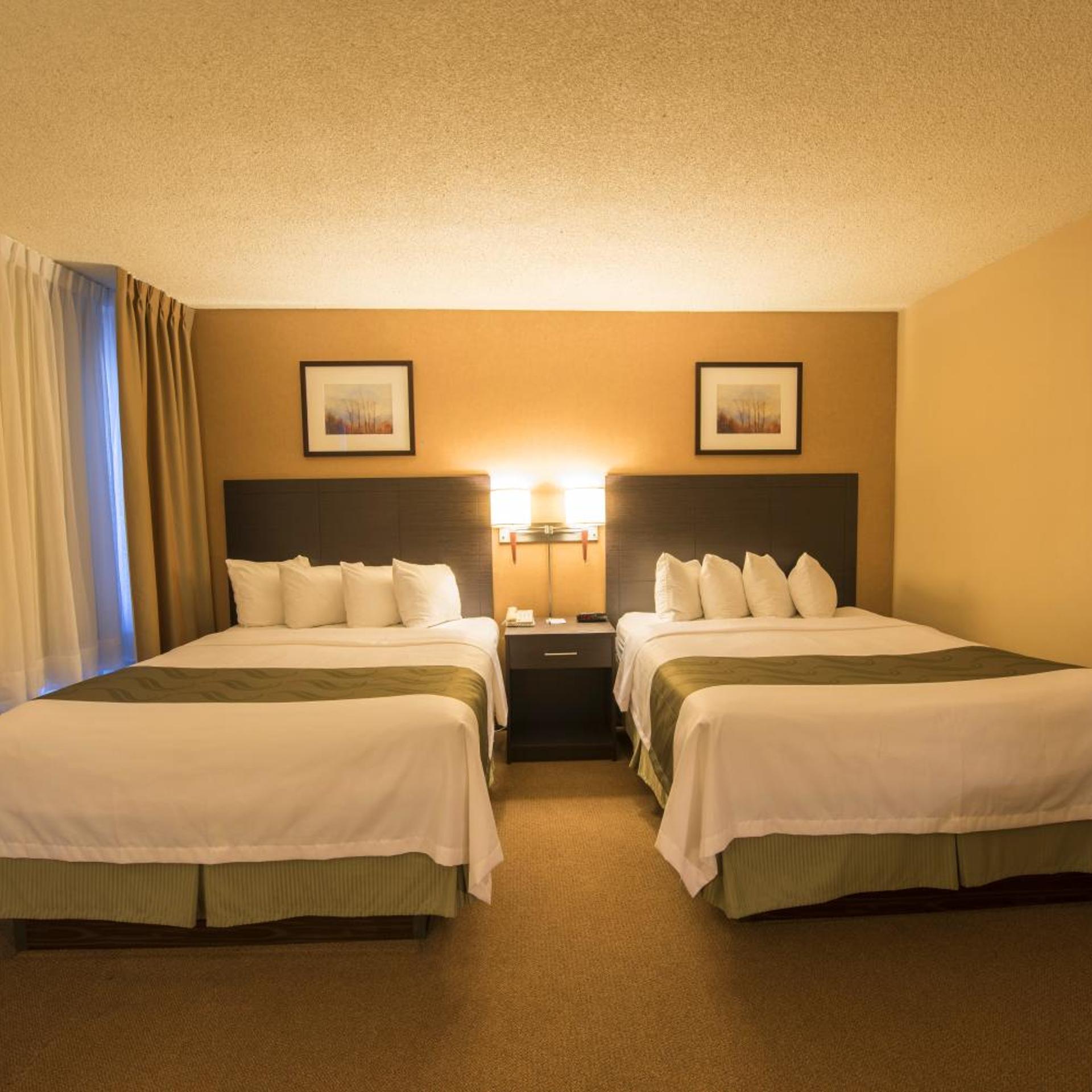 Room, King Bed, 2 Queen Beds
