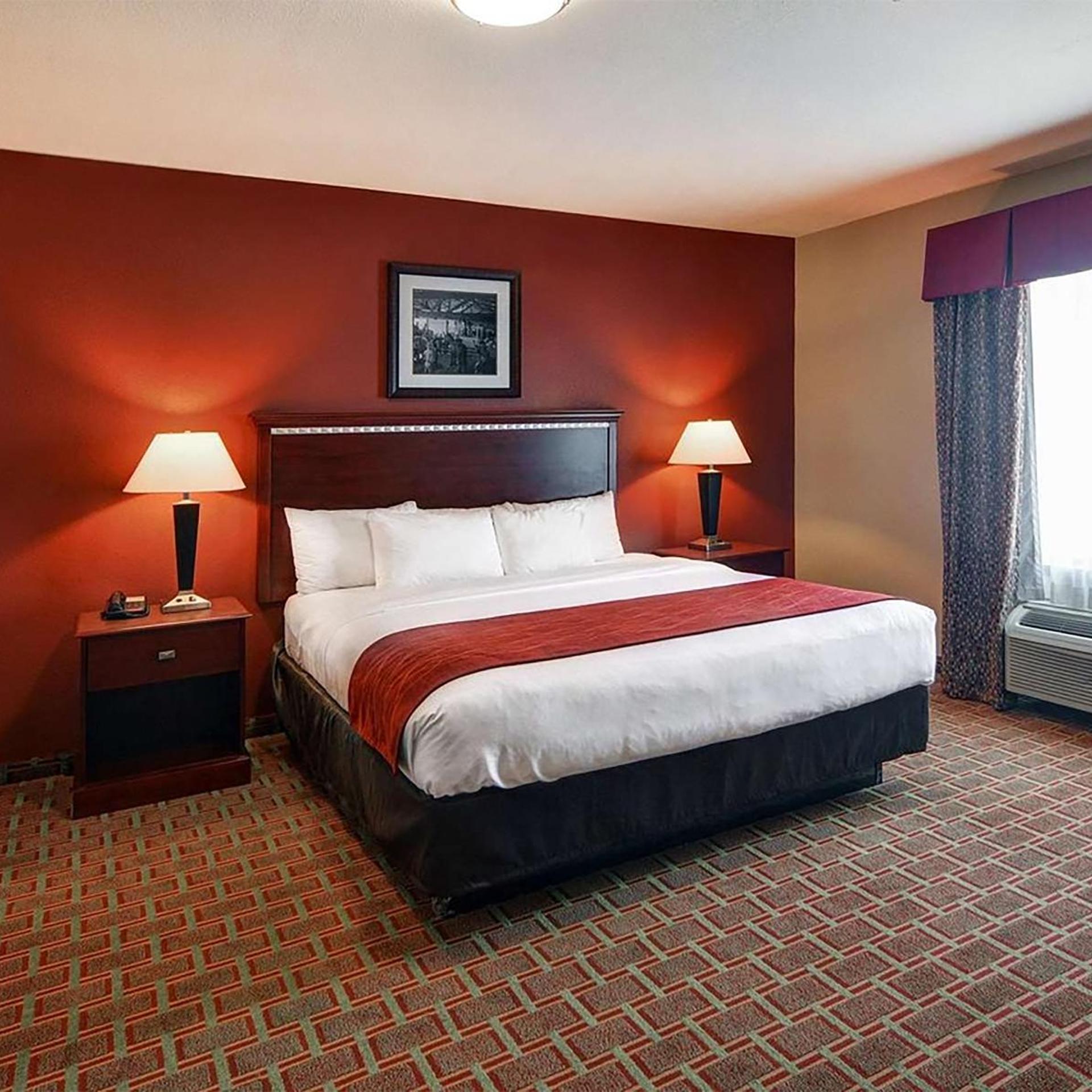 Efficiency, Suite, King Bed, Kitchenette