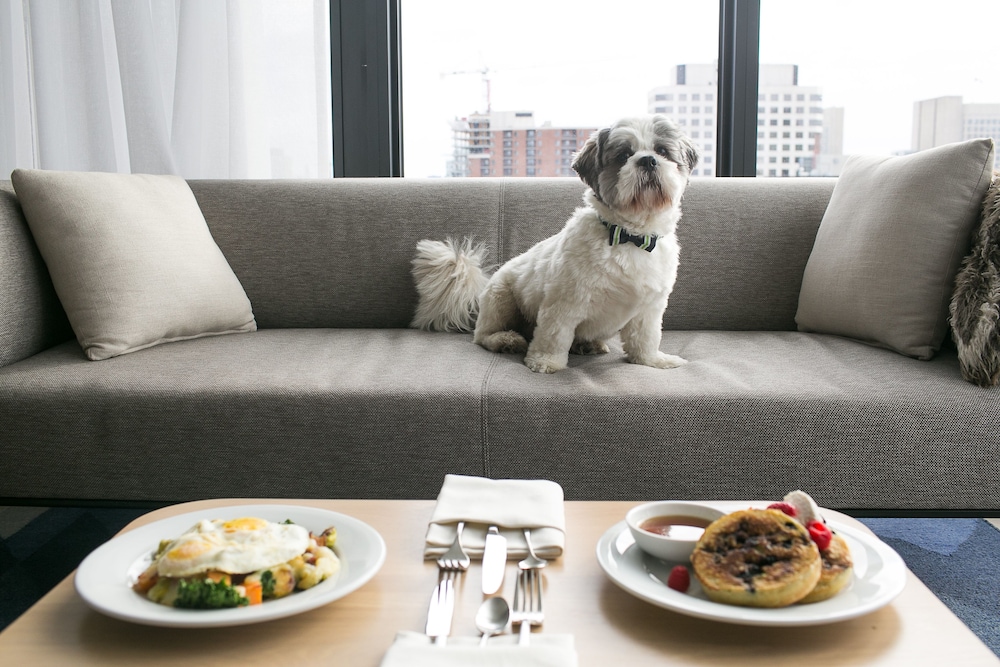 Andaz Ottawa Byward Market A Concept By Hyatt 38/74