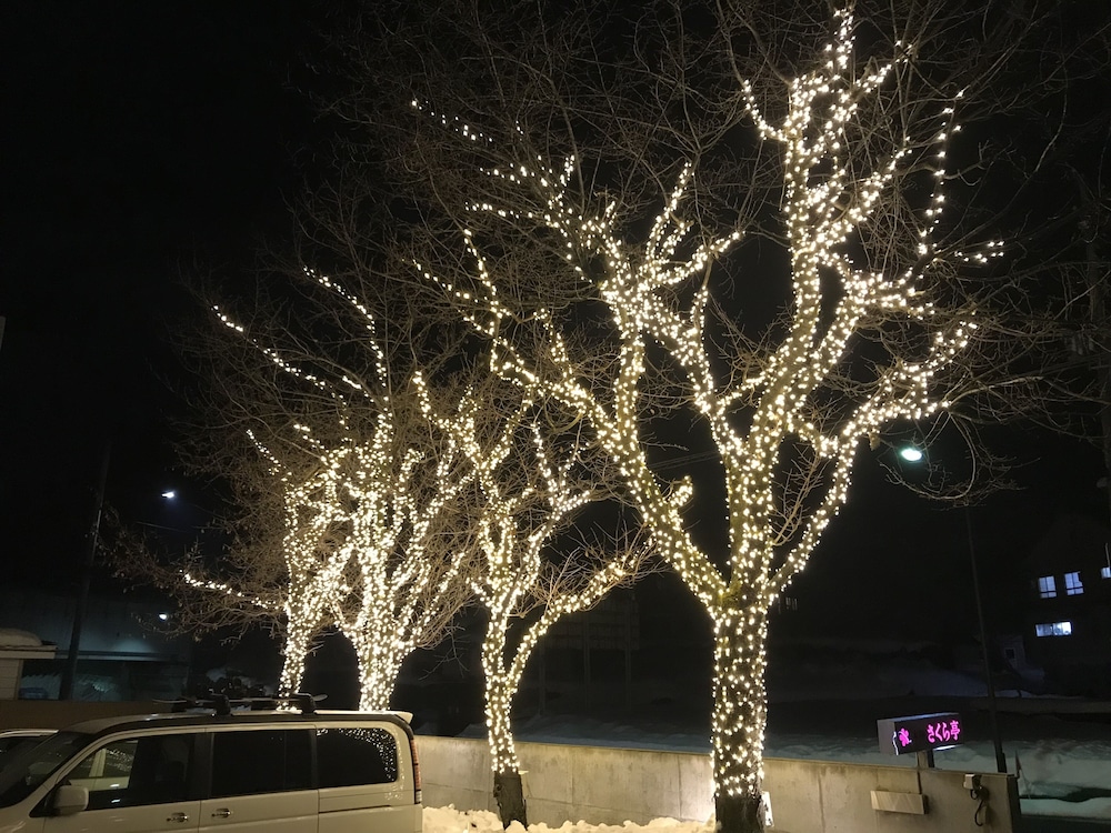 Echigo Yuzawa Onsen Sakura Tei Ryokan 31/31