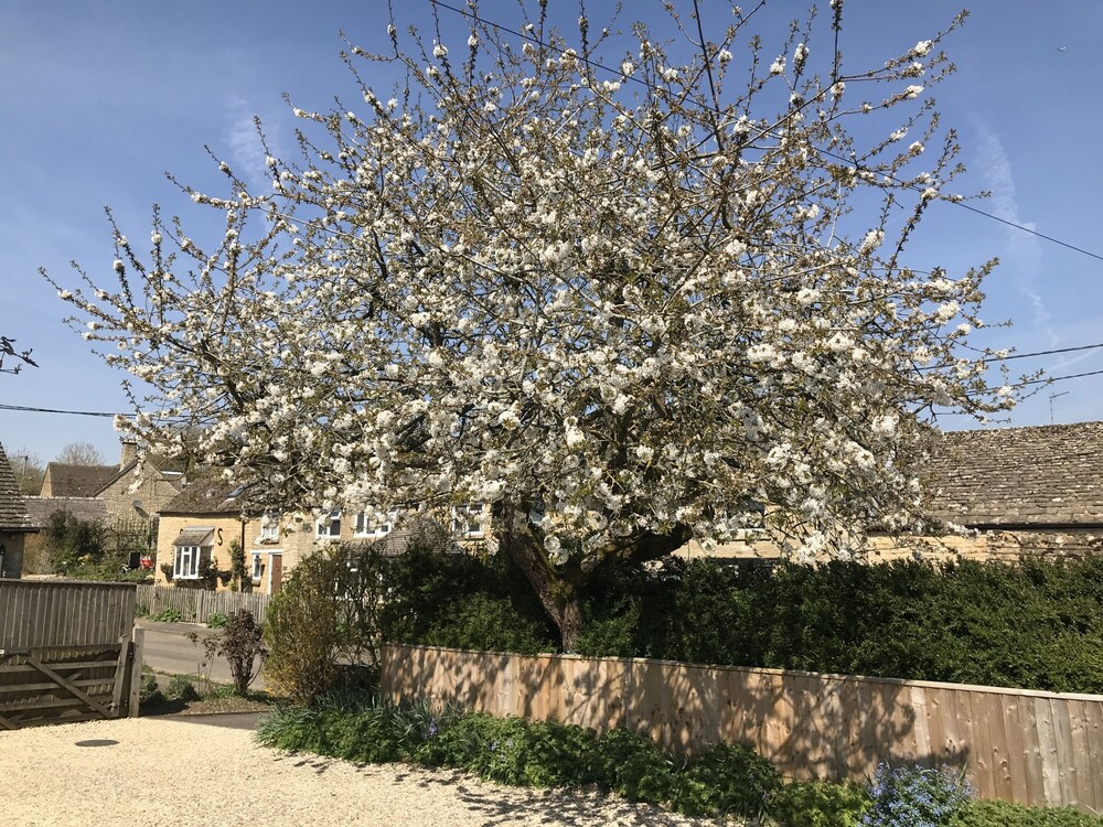 Cherry Tree Cottage 22/38