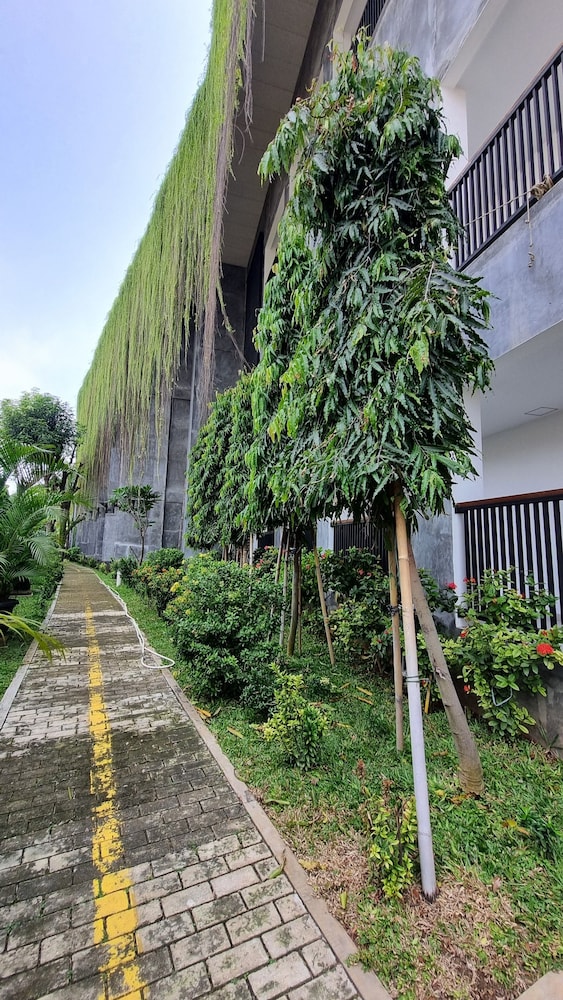 Guest House 555 NKI 45/50