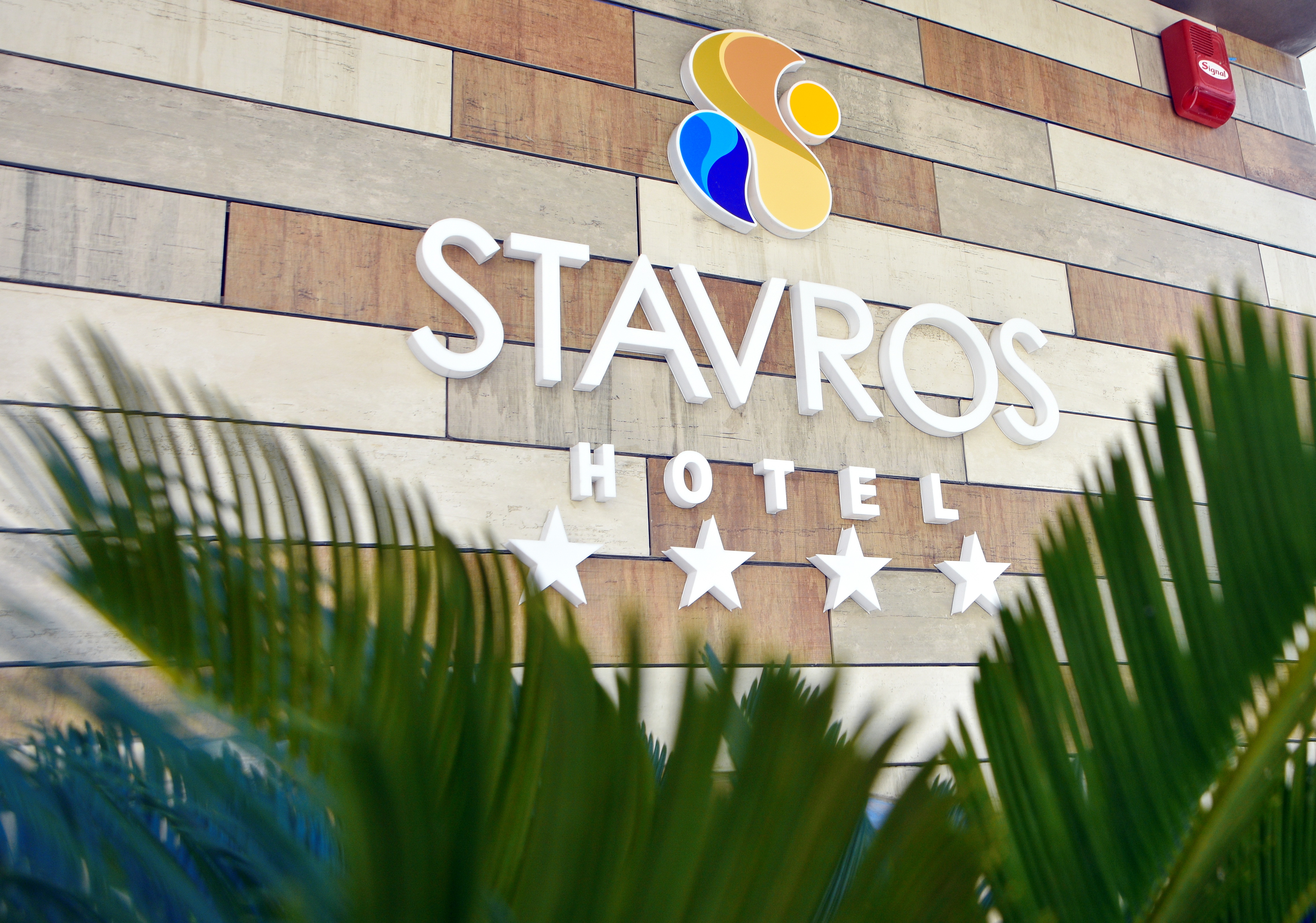 Stavros 4/50