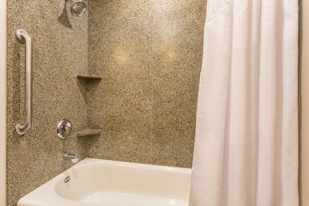 Holiday Inn Express Hotel and Suites Manteca City Center 33/76