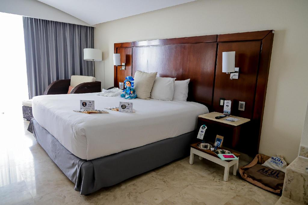 Master, Suite, Ocean View
