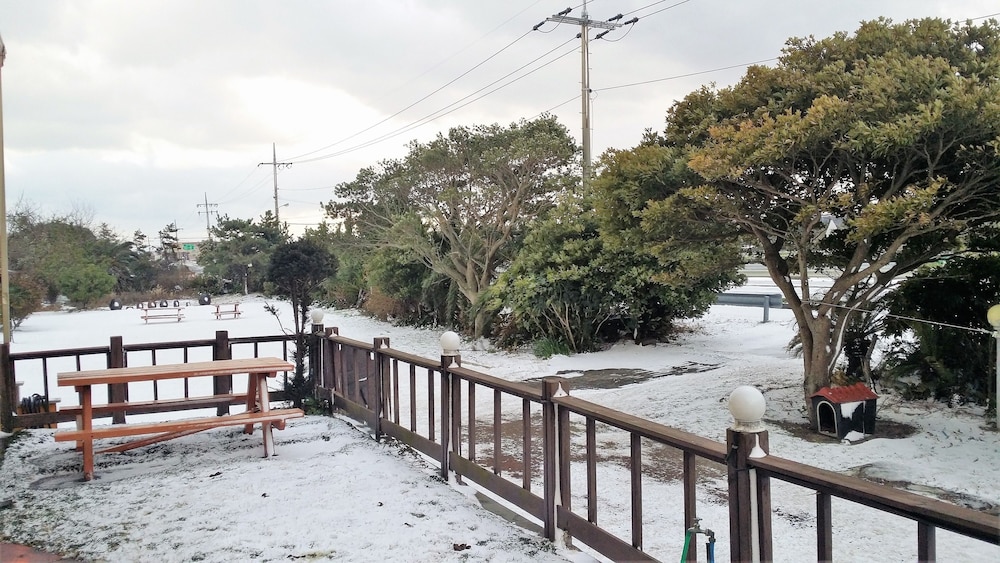 Jun House - Hostel 40/50