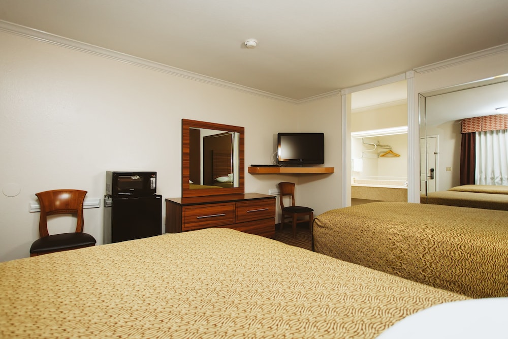 Palace Inn Wayside 18/30