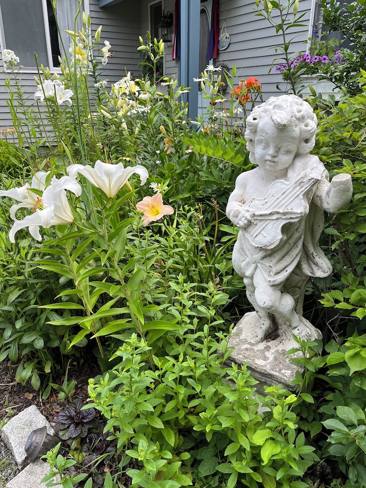 Gardenview Bed And Breakfast 35/43