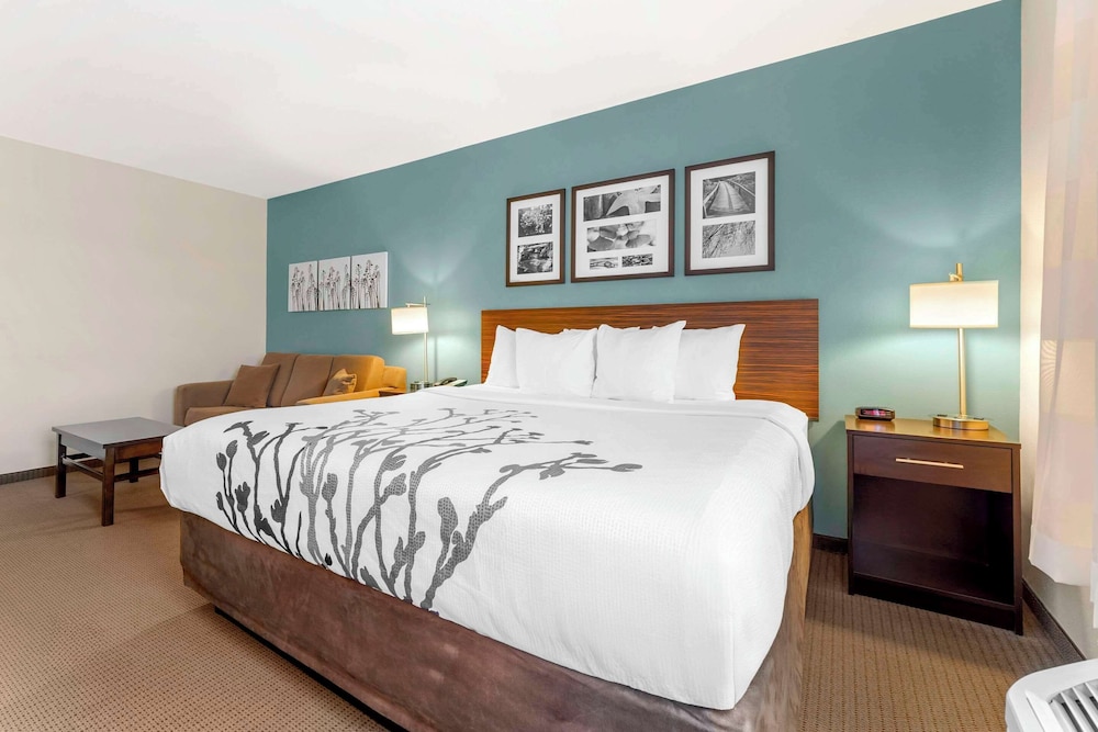 Suite, King Bed, Sofa