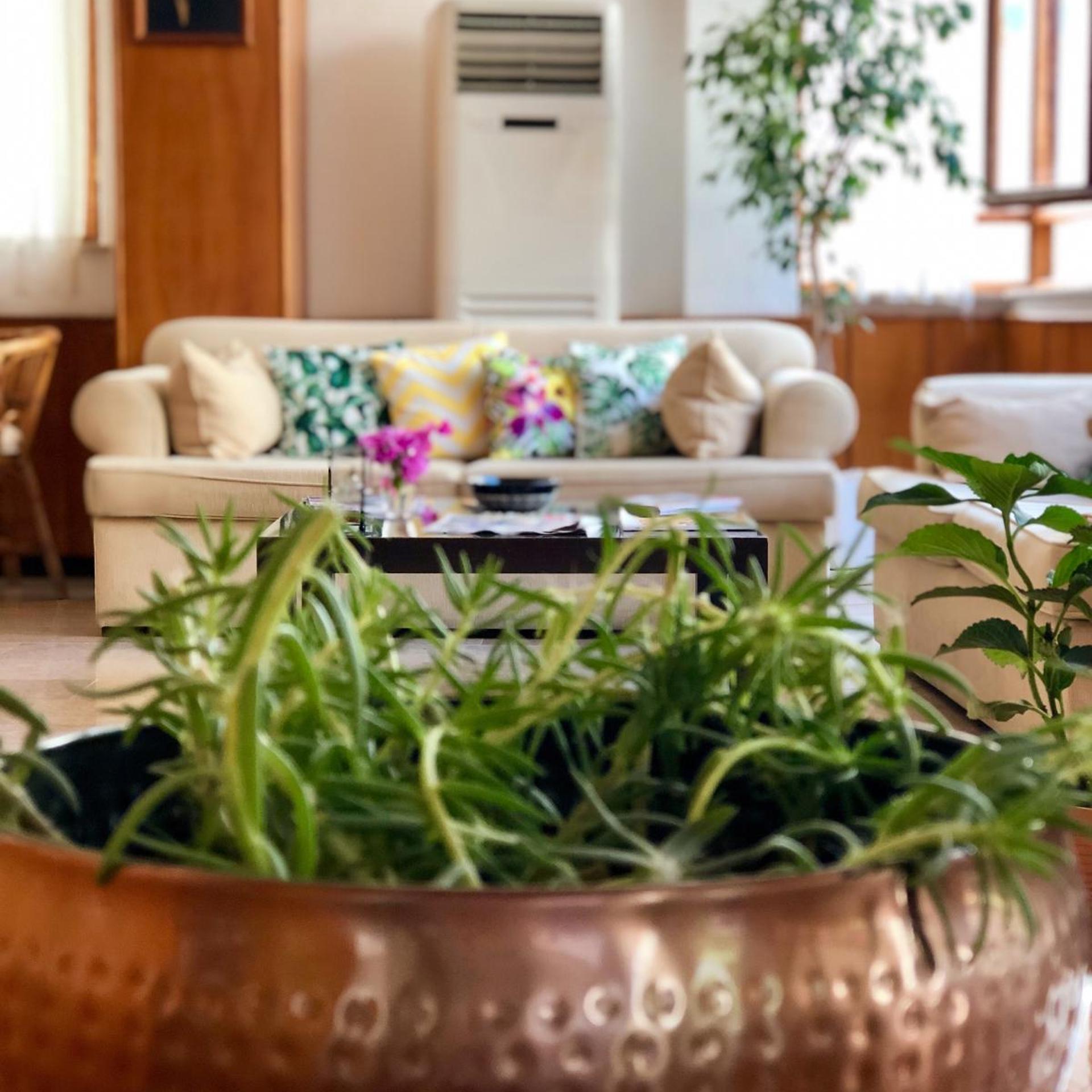 Kekova Hotel 26/50