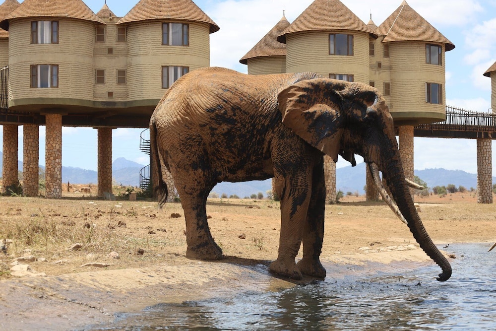 Salt Lick Safari Lodge 36/55