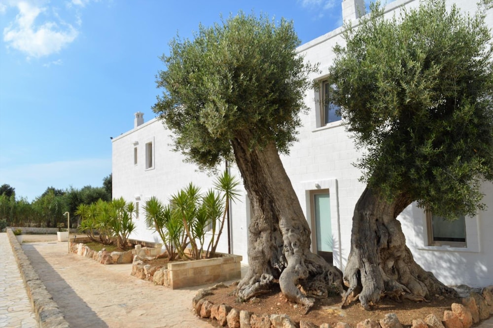 Masseria Torrepietra 44/50