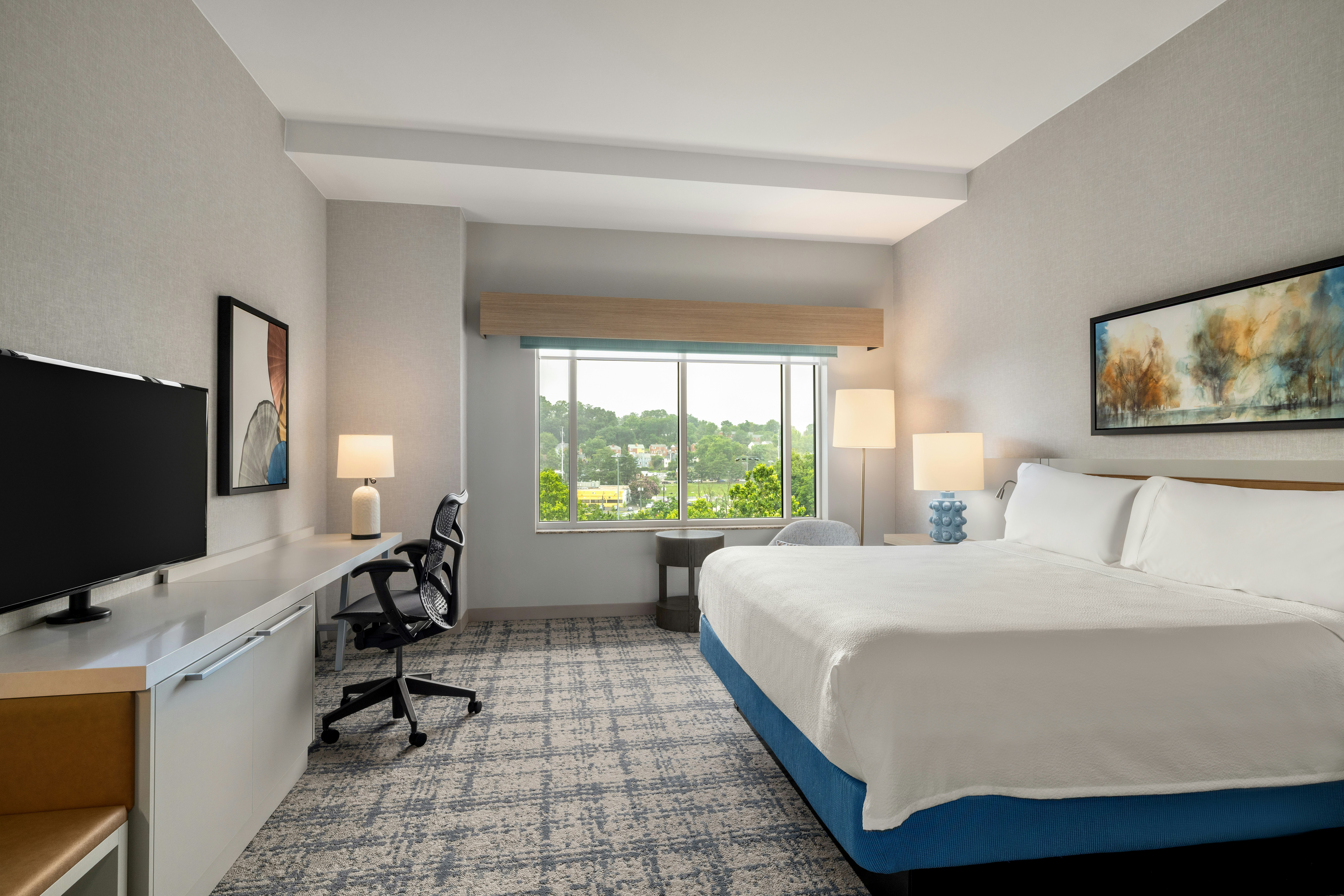 Room, King Bed