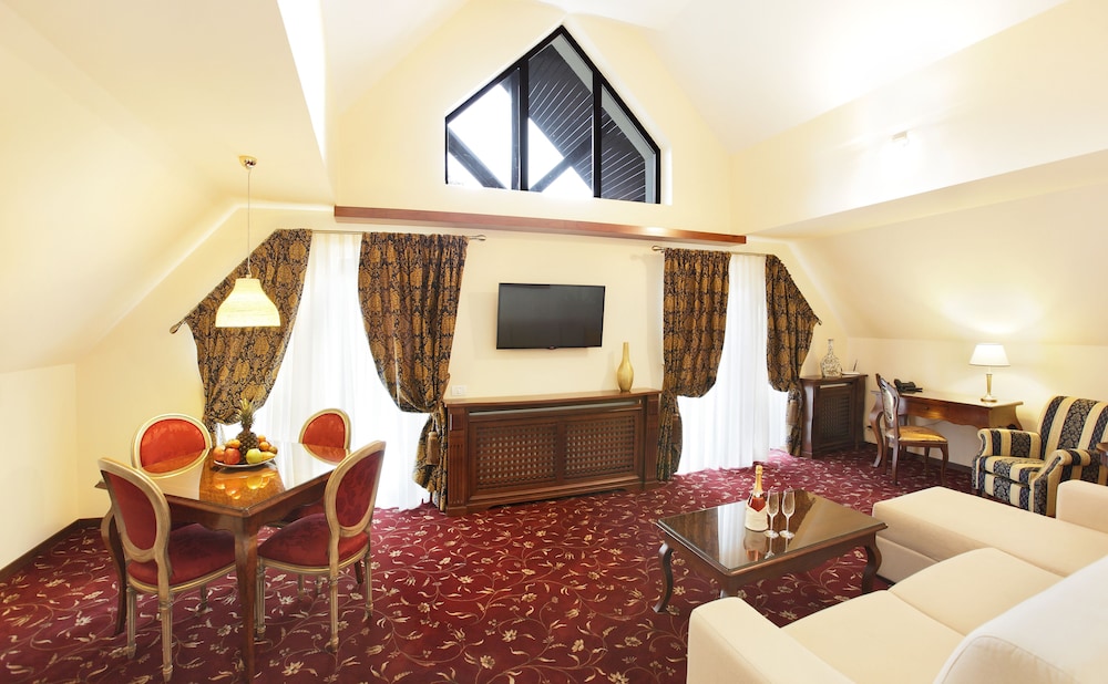 HOTEL BOUTIQUE BELVEDERE SINAIA 37/60