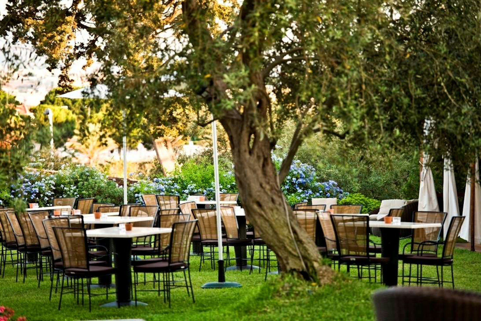 Villa Morgana Resort And Spa 25/30